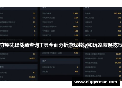 守望先锋战绩查询工具全面分析游戏数据和玩家表现技巧