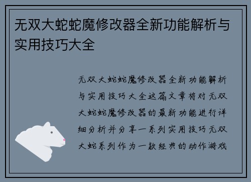 无双大蛇蛇魔修改器全新功能解析与实用技巧大全